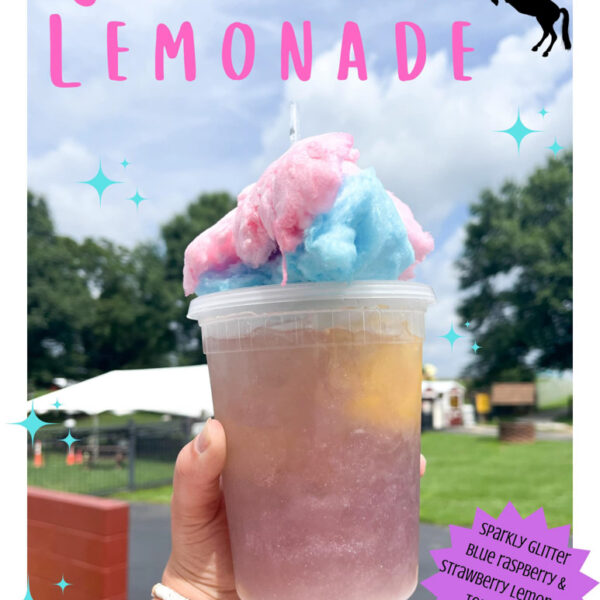 Unicorn Quest 2024 - North East, MD