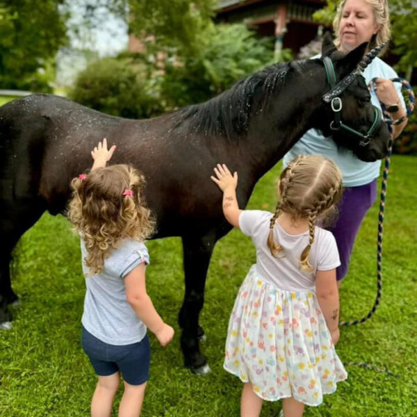 Unicorn Quest 2024 - North East, MD