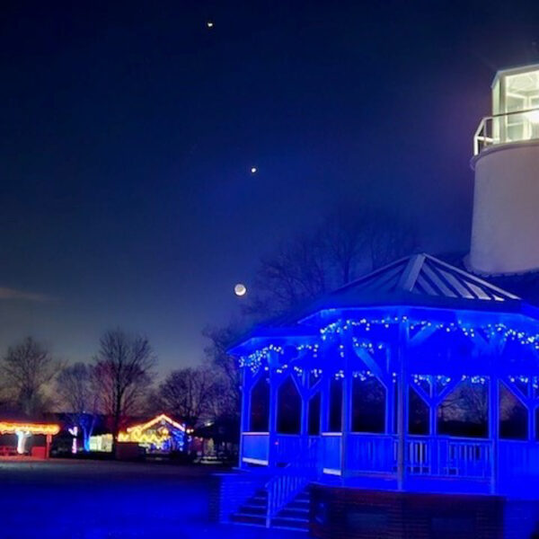 Winter Lights, Cecil Nights 2023