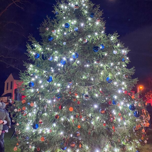 Tree Lighting & Santa House 2024 - North East, MD